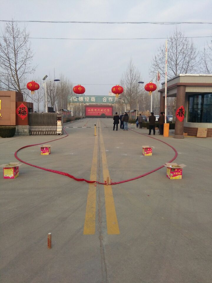 山东开云体手机版登录入口
劳保