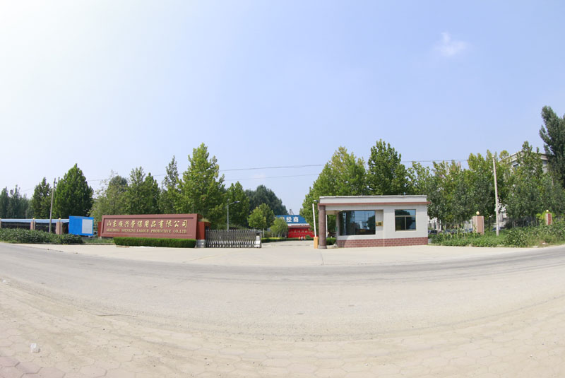山东开云体手机版登录入口
劳保